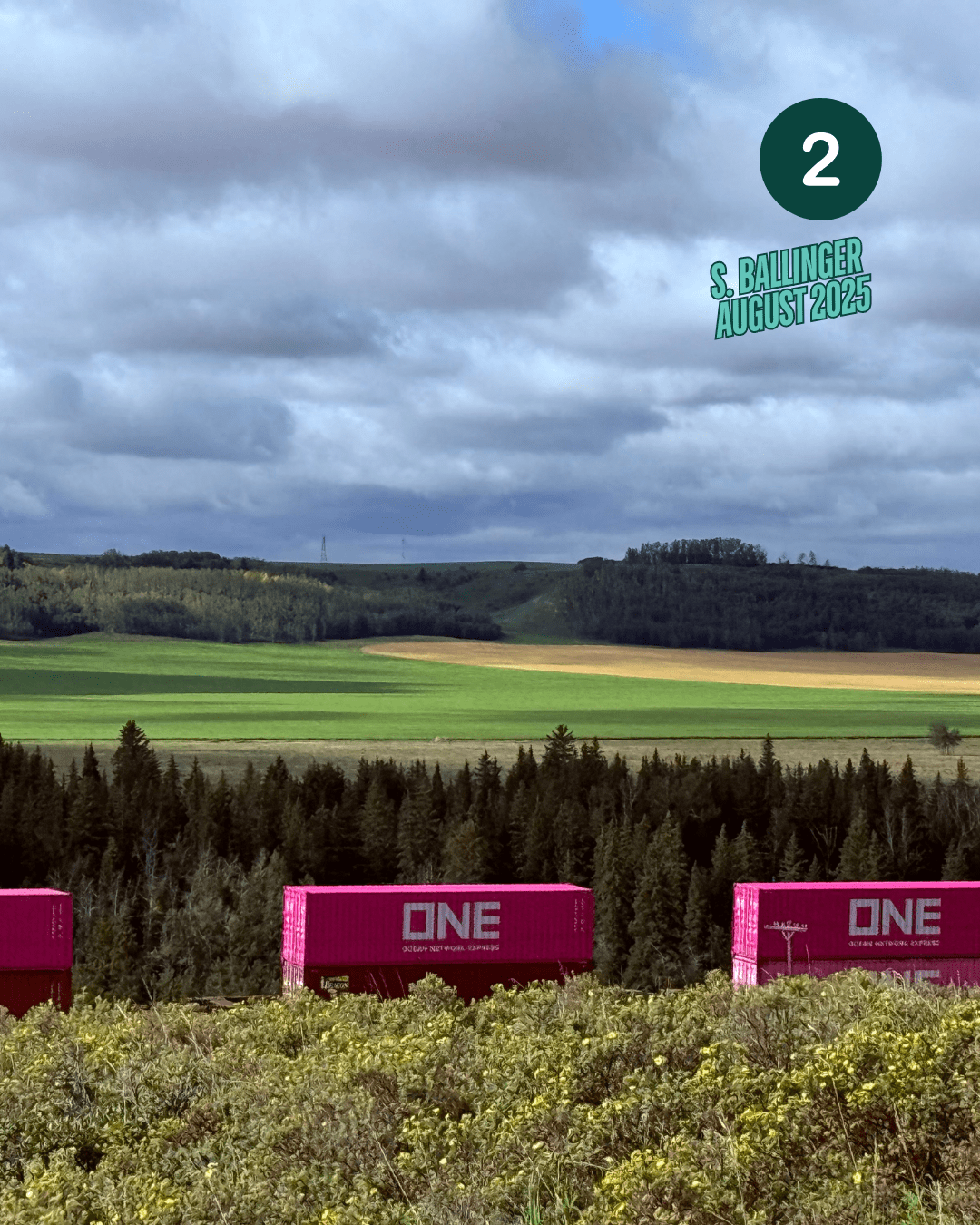 AUG BALLINGER 2025 2