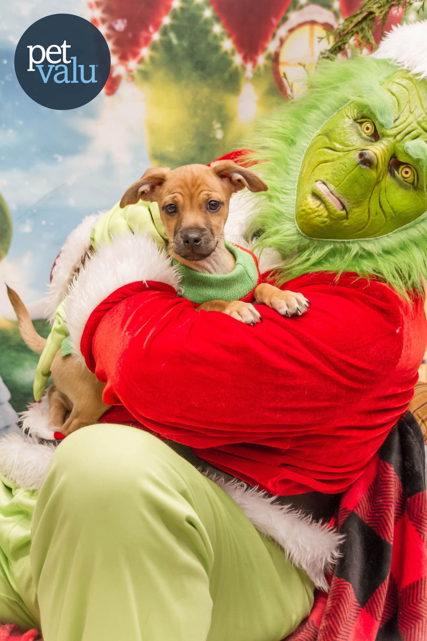 Grinch Photo Fundraiser