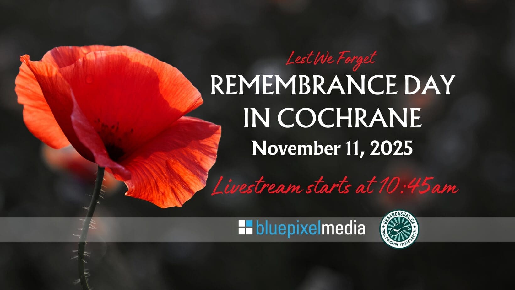 remembrance day 2025 (2)