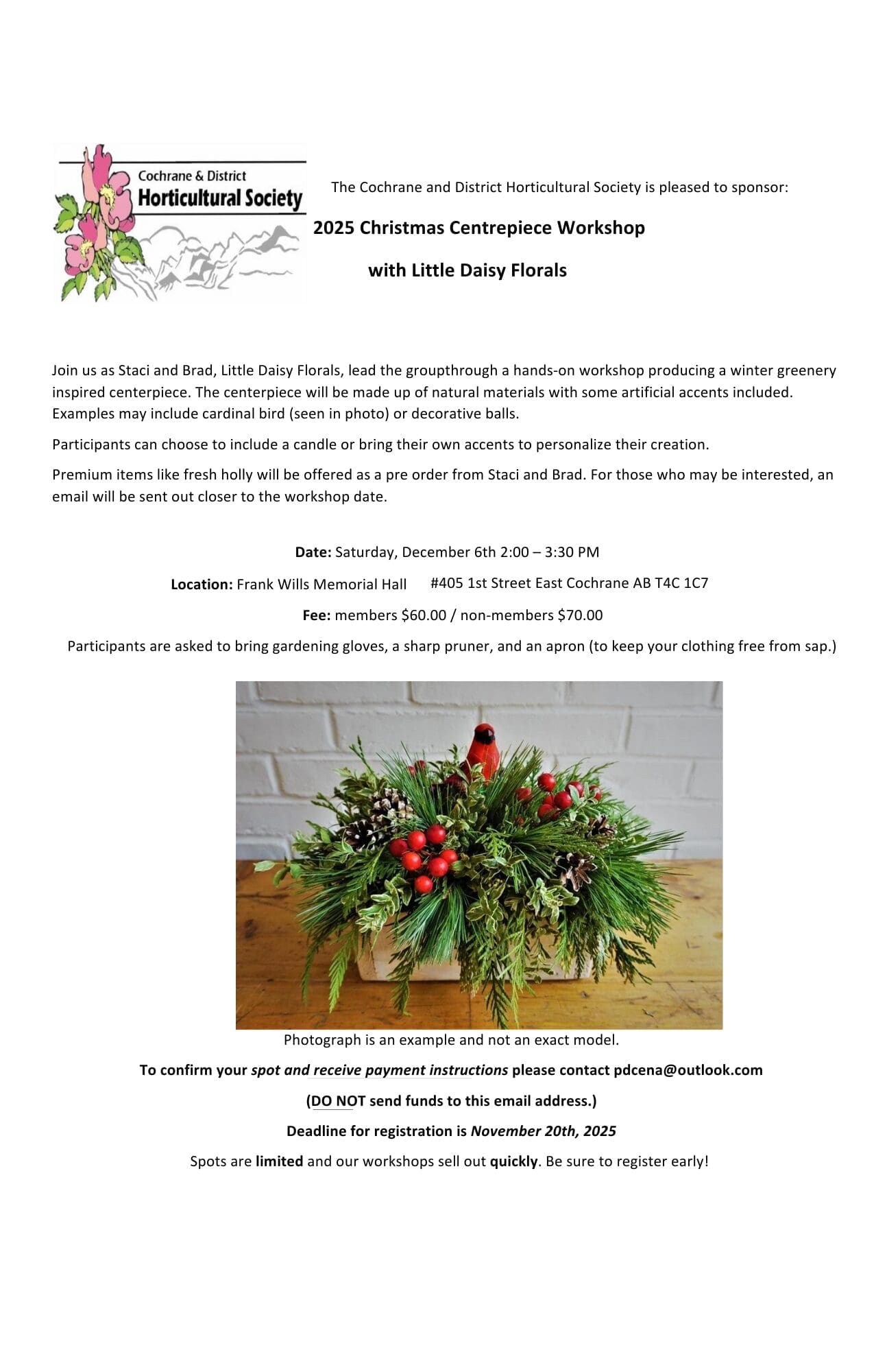 Cochrane & District Horticultural Society Christmas Centerpiece Workshop
