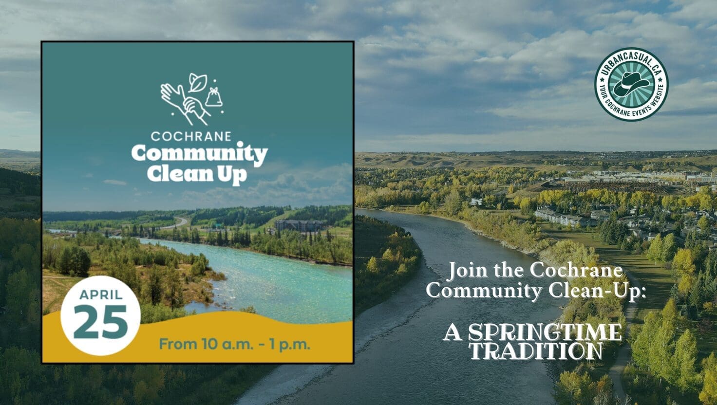 community cleanup (1)